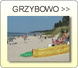 Wczasy w Grzybowie